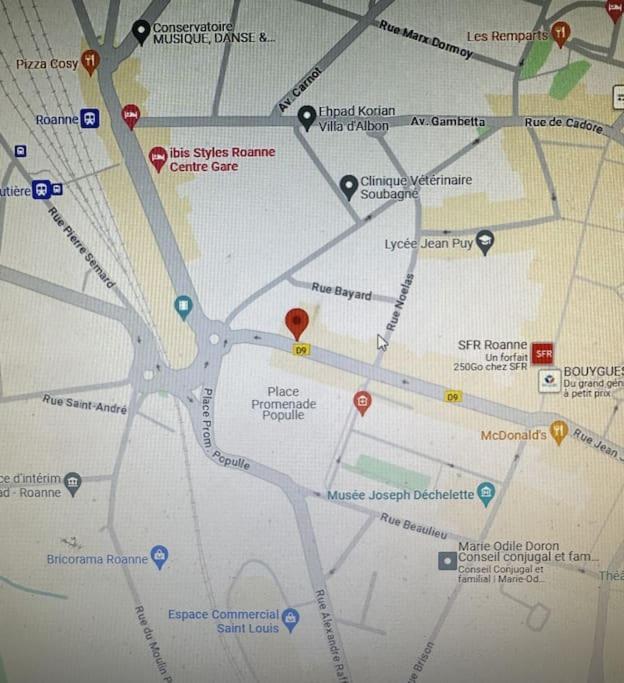 T2 En Rdc Calme Et Central 5Min A Pieds De La Gare Daire Roanne Dış mekan fotoğraf